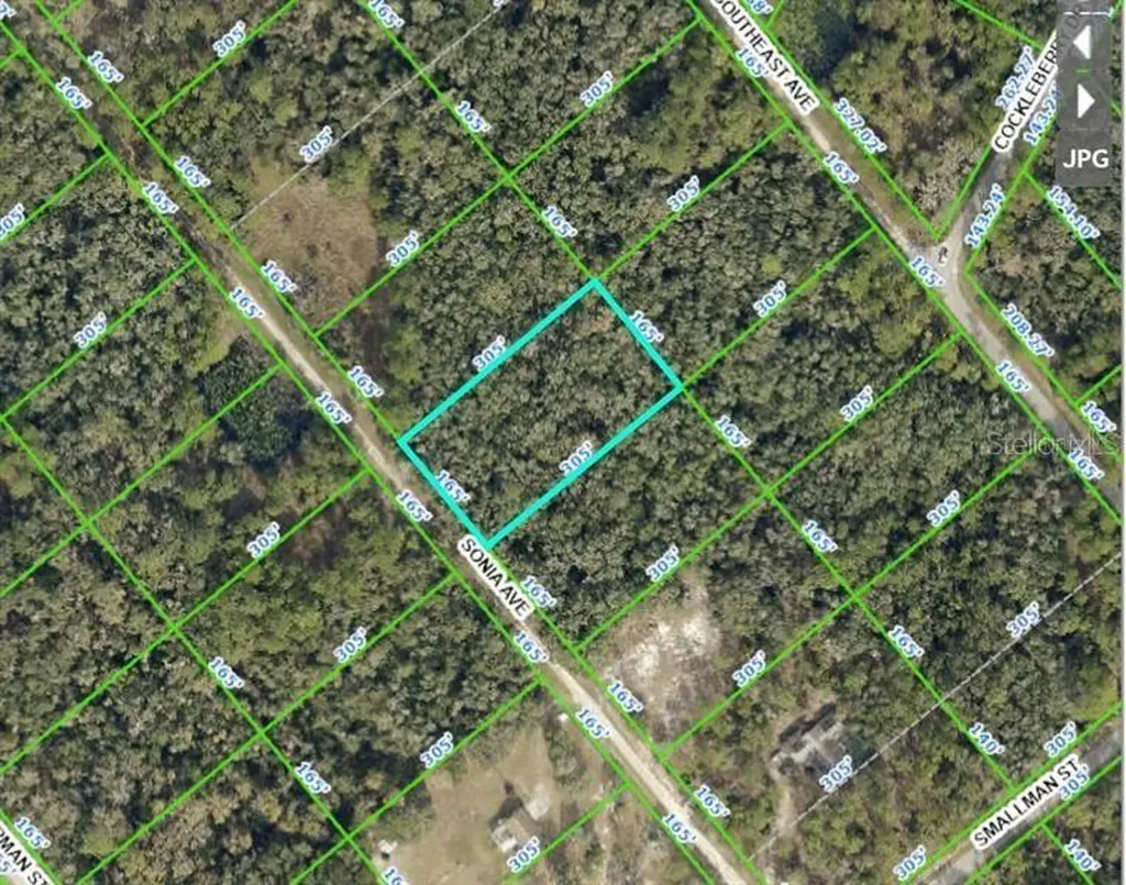 7252 Sonia Avenue Webster FL 33597