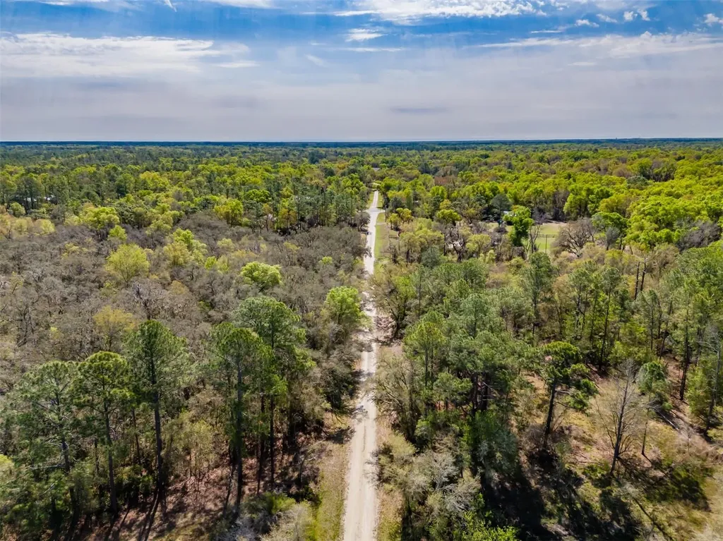 7252 Sonia Avenue Webster FL 33597