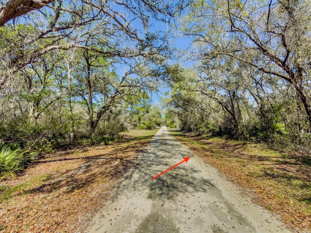 7252 Sonia Avenue Webster FL 33597