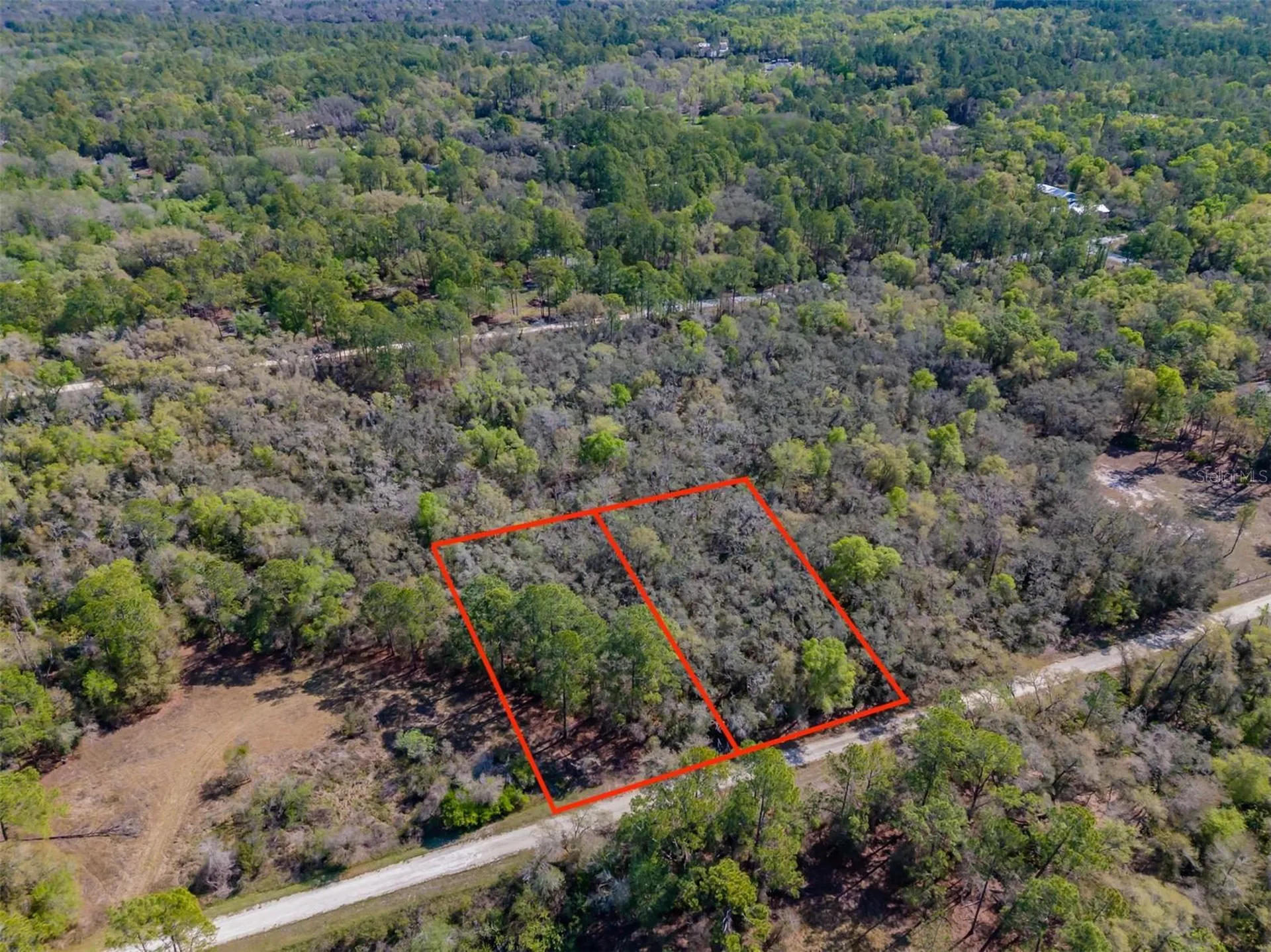 7252 Sonia Avenue Webster FL 33597