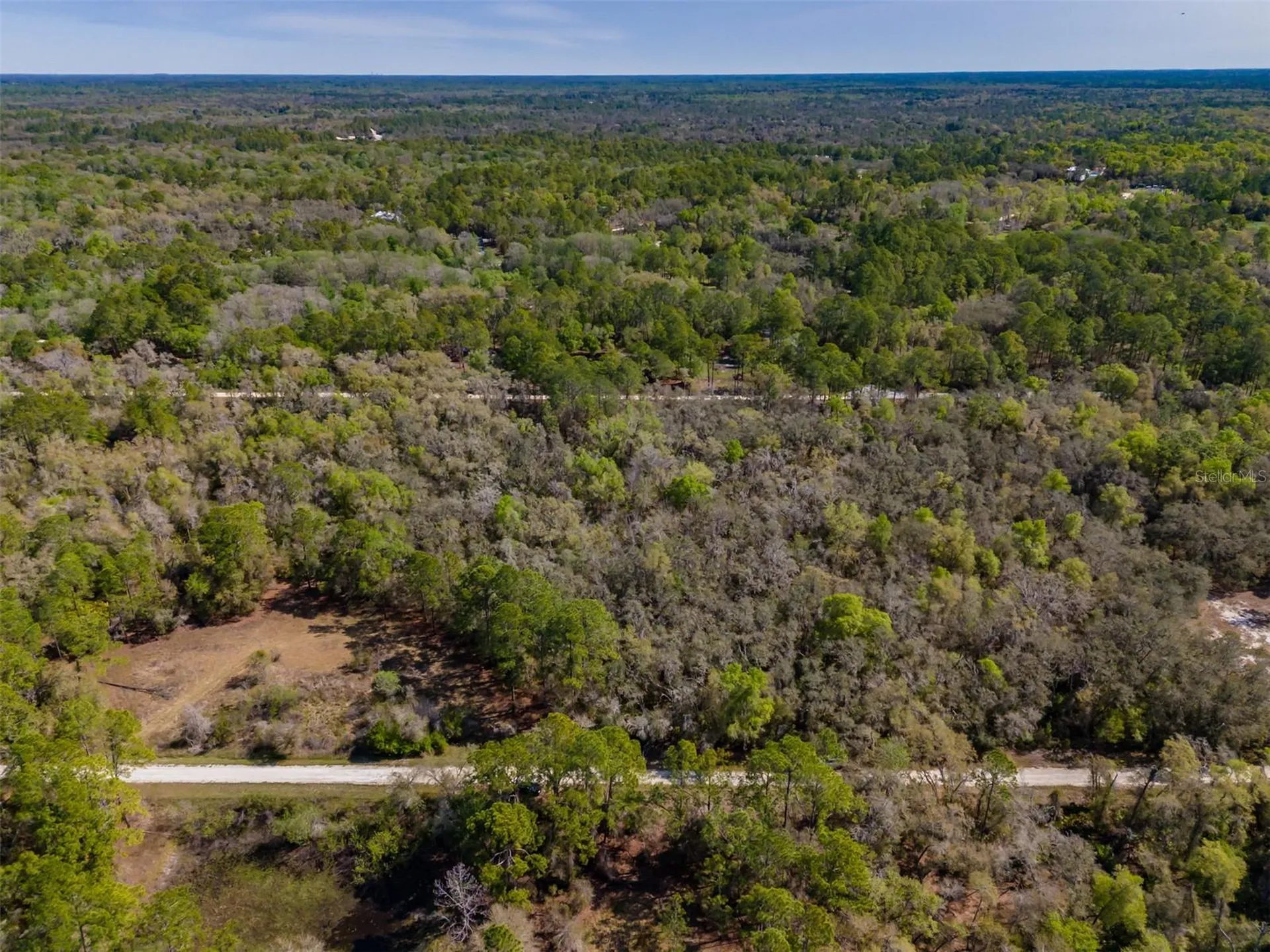 7252 Sonia Avenue Webster FL 33597