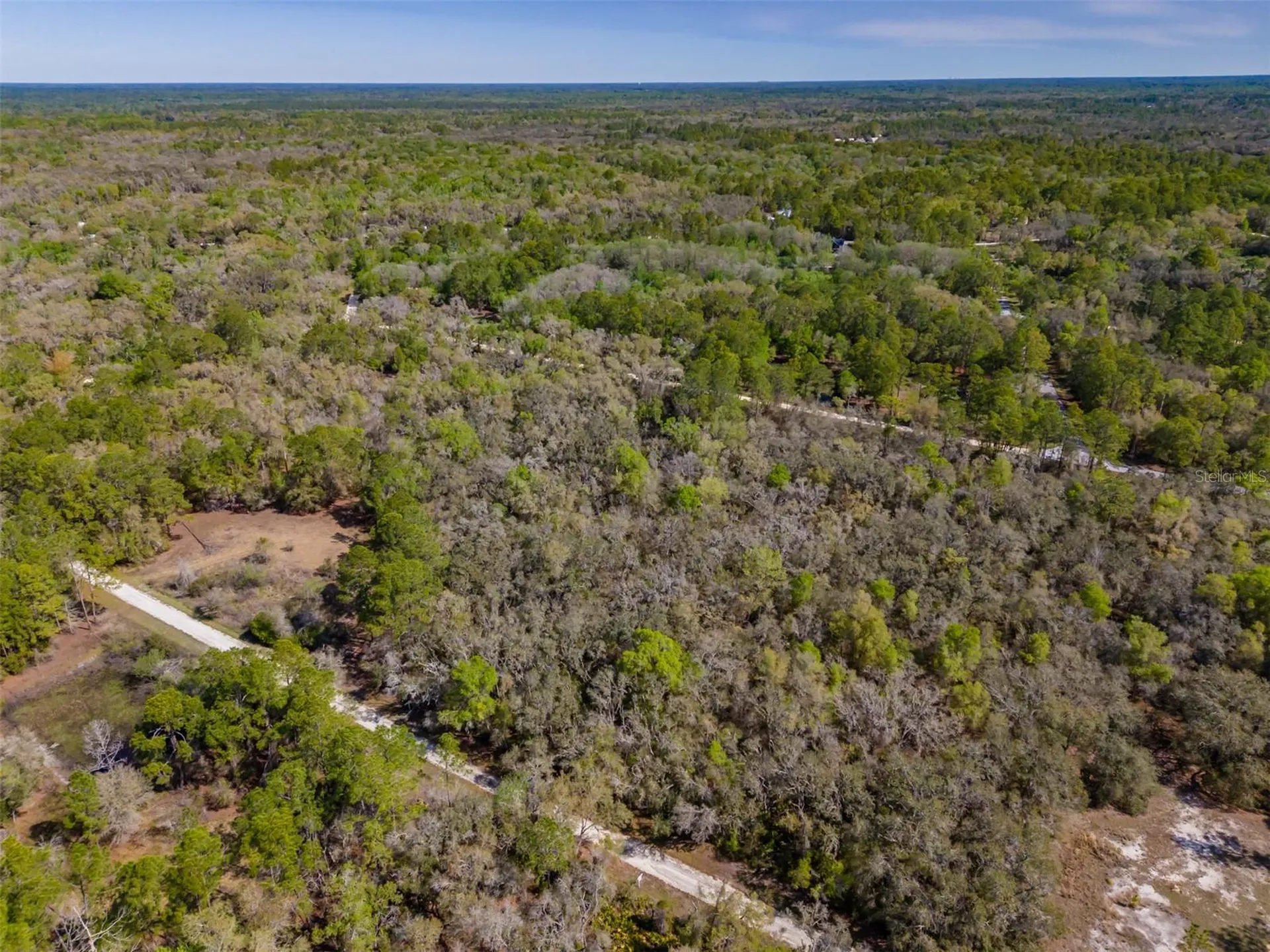 7252 Sonia Avenue Webster FL 33597