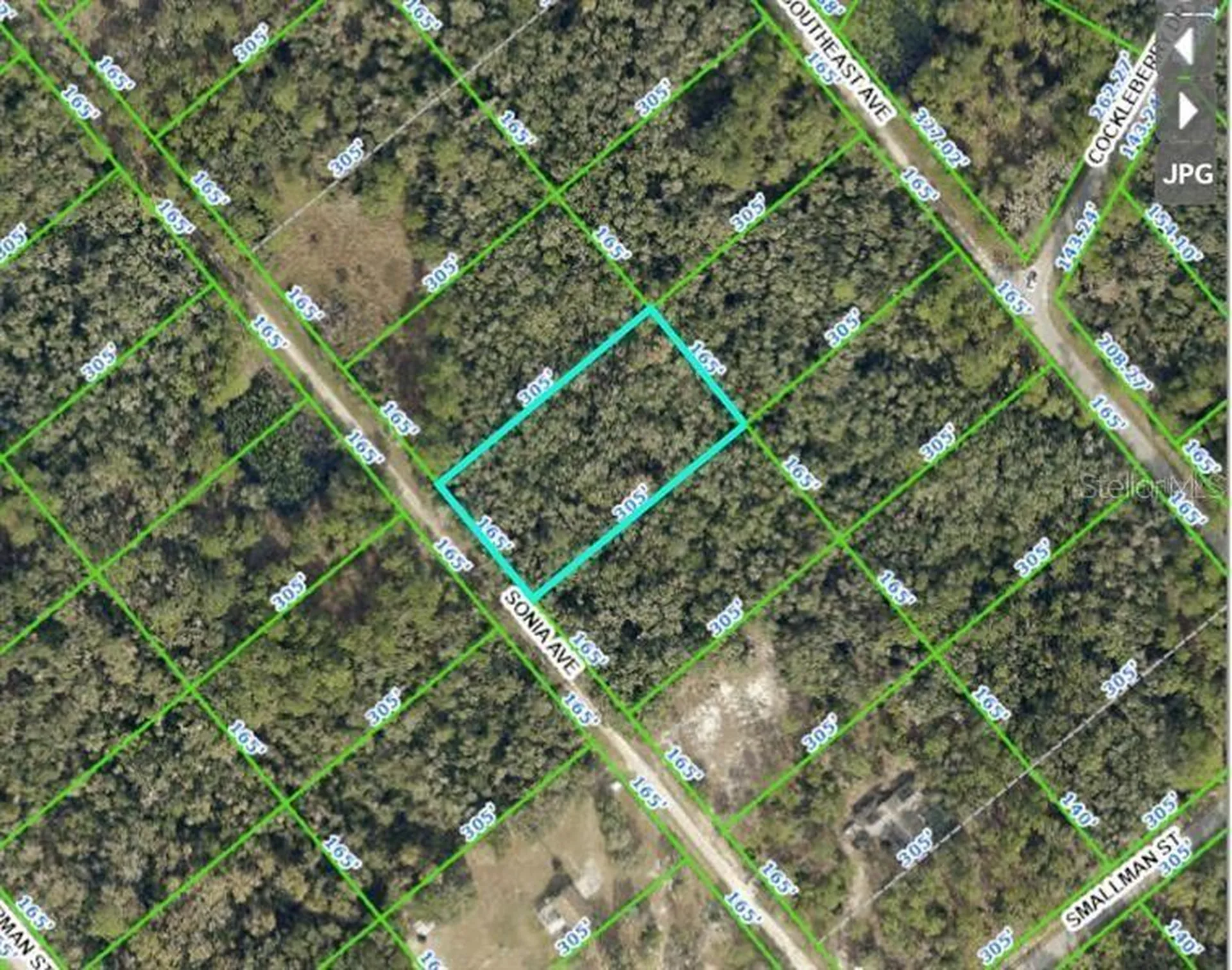 7252 Sonia Avenue Webster FL 33597