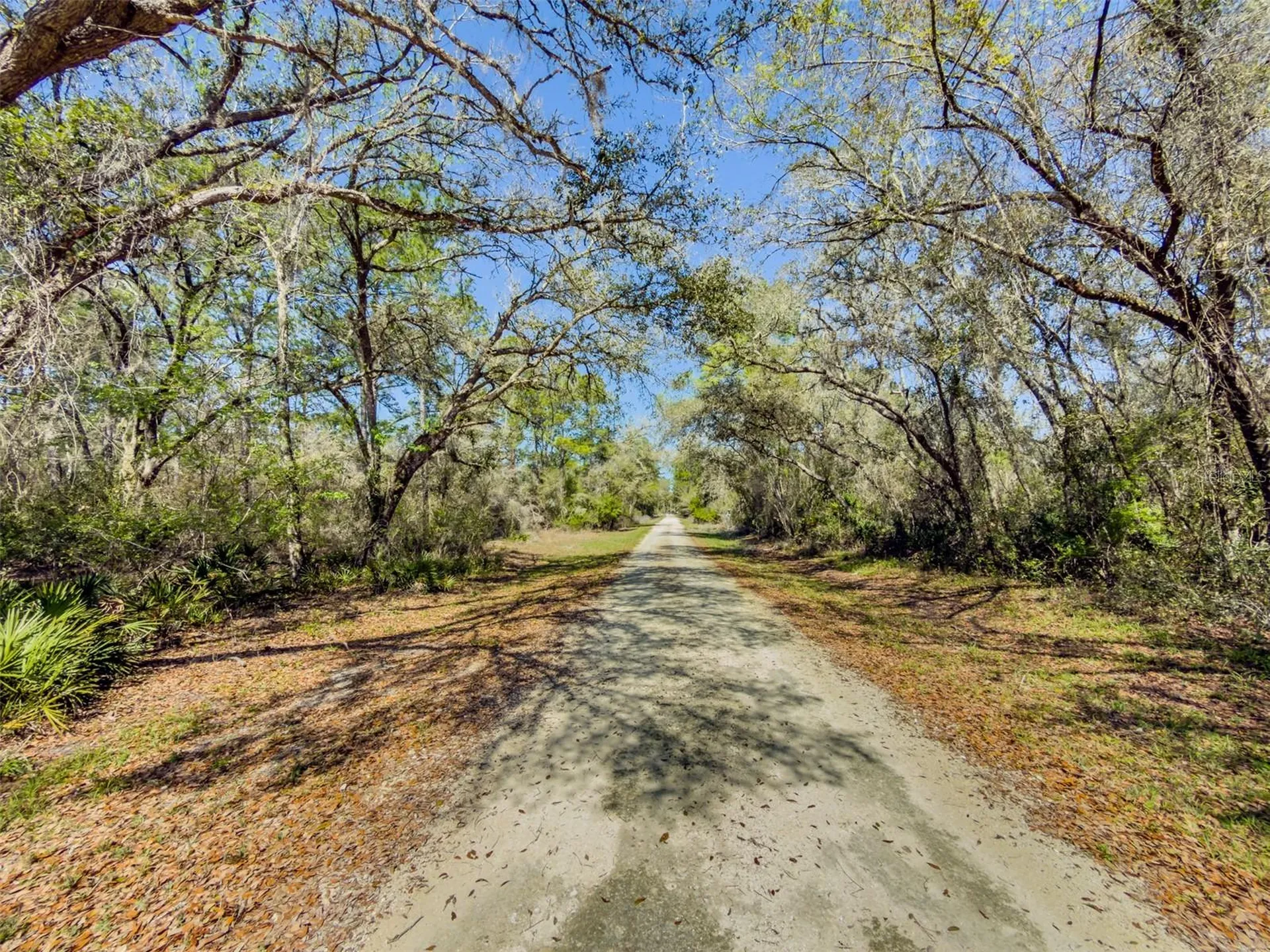 7252 Sonia Avenue Webster FL 33597
