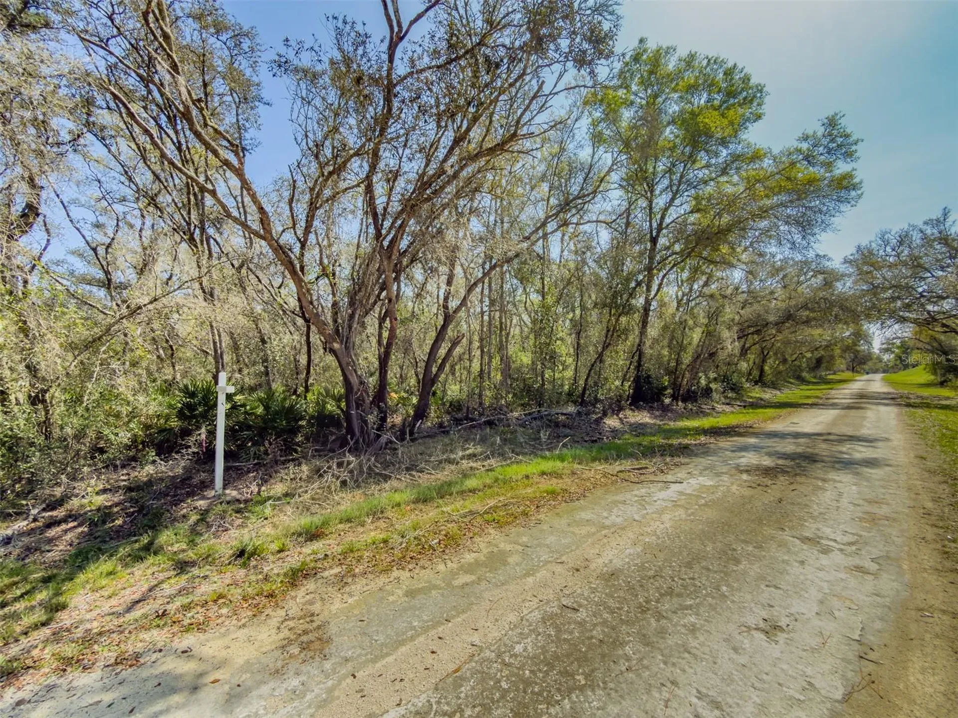 7252 Sonia Avenue Webster FL 33597