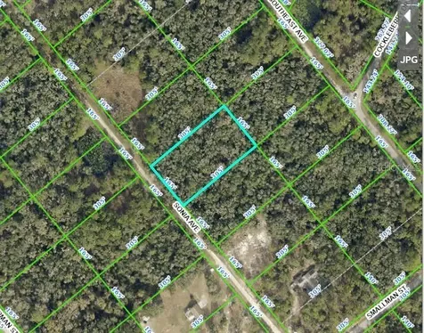 7252 Sonia Avenue Webster FL 33597