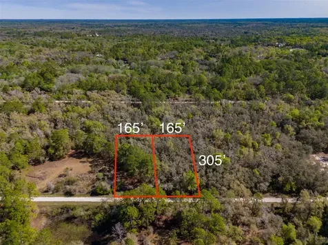 7252 Sonia Avenue Webster FL 33597