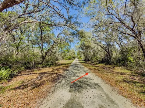 7252 Sonia Avenue Webster FL 33597