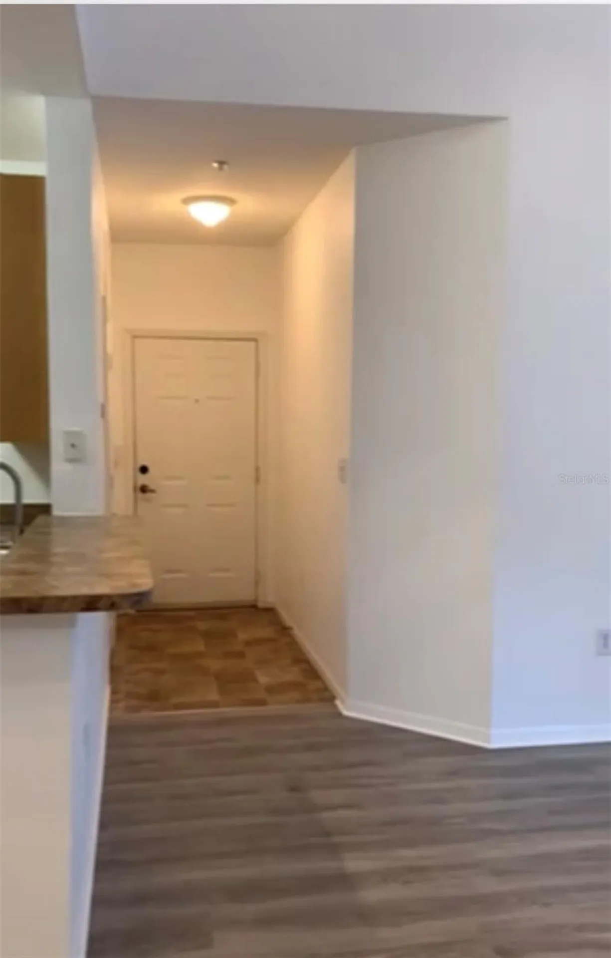 10209 Courtney Palms Boulevard Tampa FL 33619