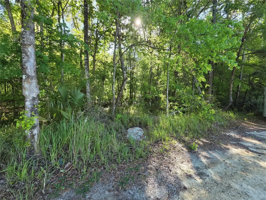 0000 SE 42nd Court Belleview FL 34420