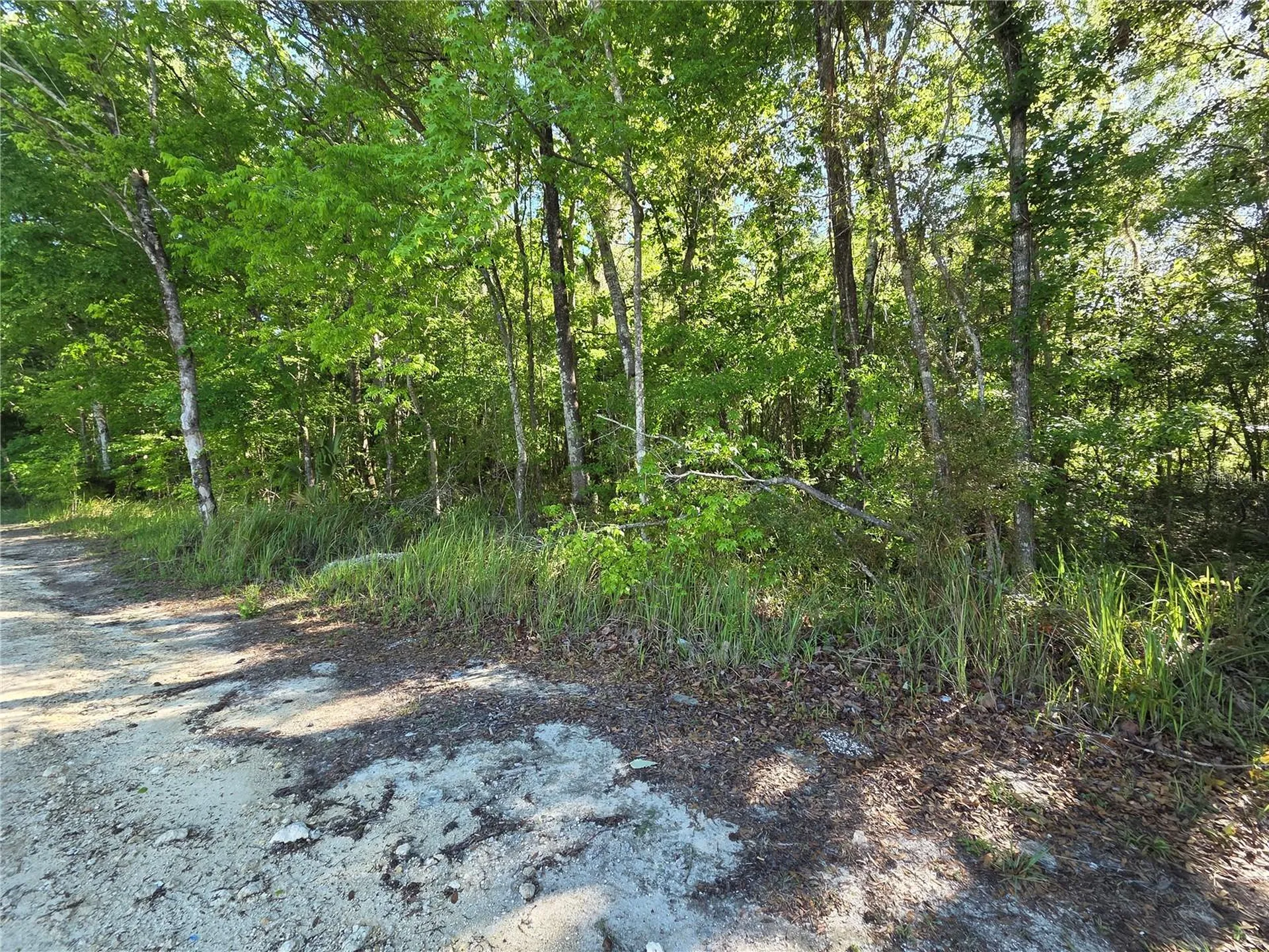 0000 SE 42nd Court Belleview FL 34420