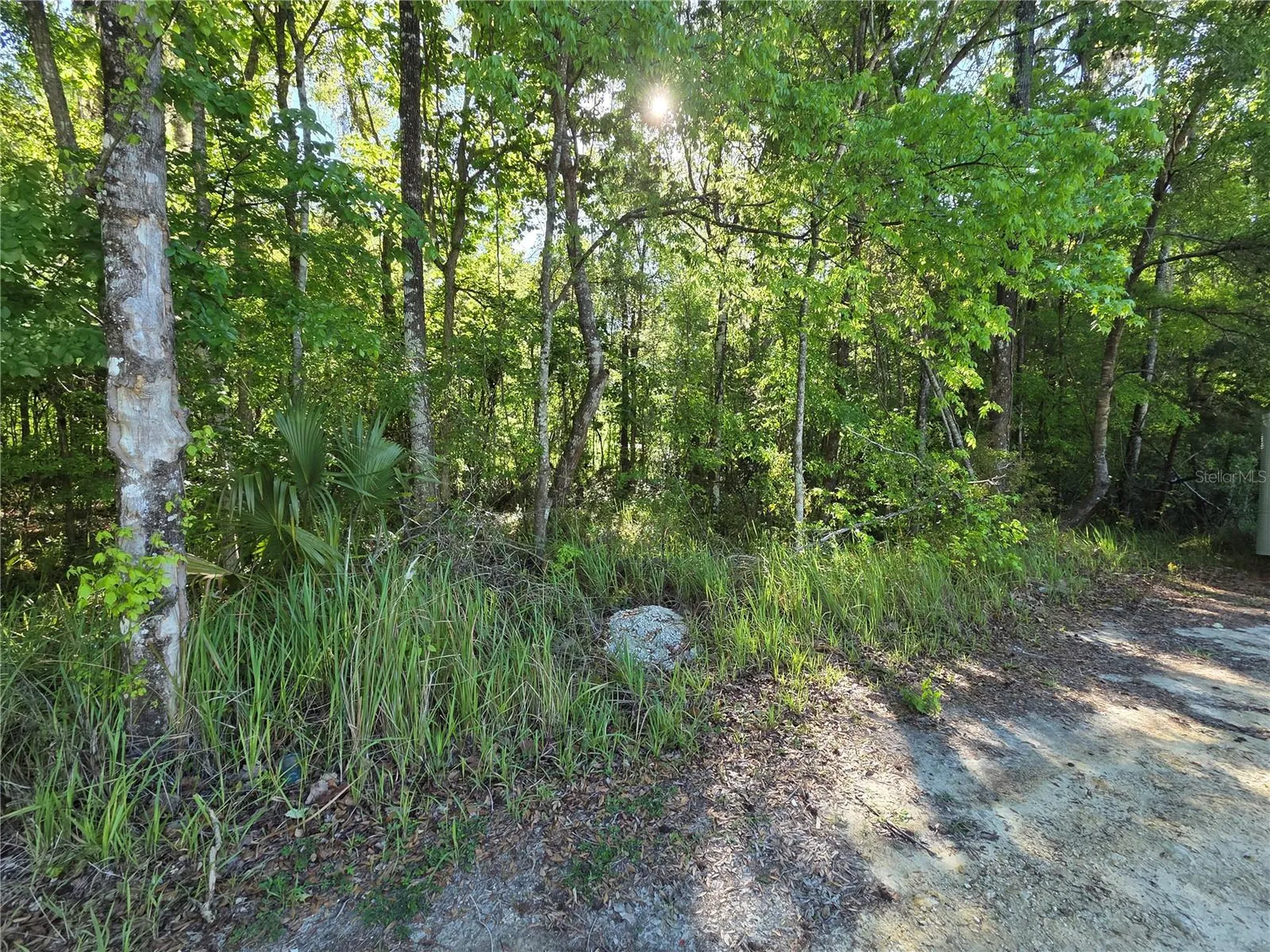 0000 SE 42nd Court Belleview FL 34420
