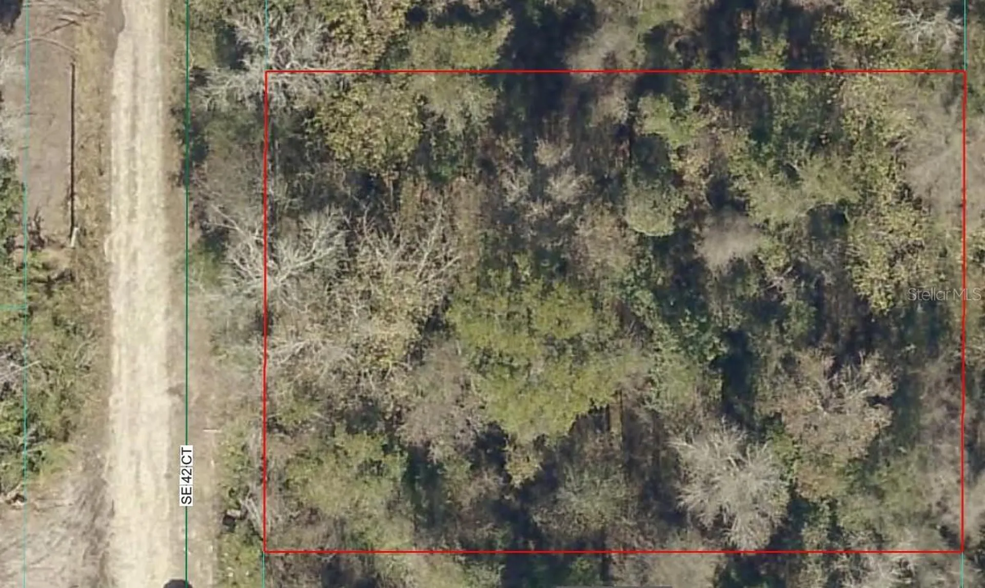0000 SE 42nd Court Belleview FL 34420