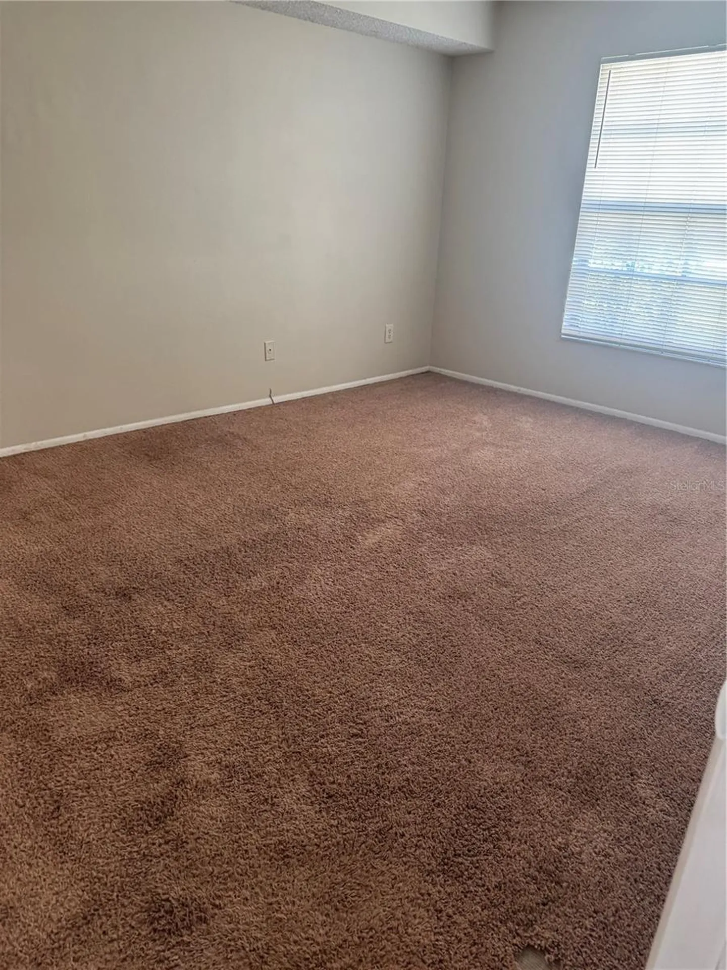 3028 Bonaventure Circle Palm Harbor FL 34684
