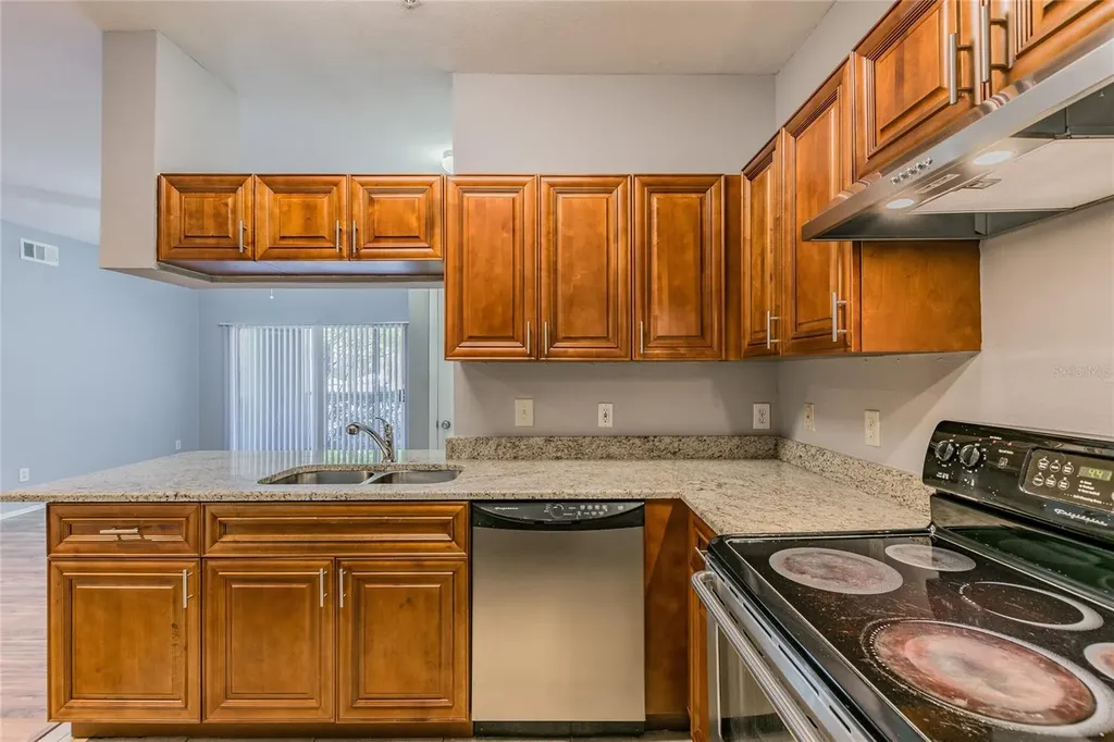13015 Sanctuary Cove Drive Temple Terrace FL 33637