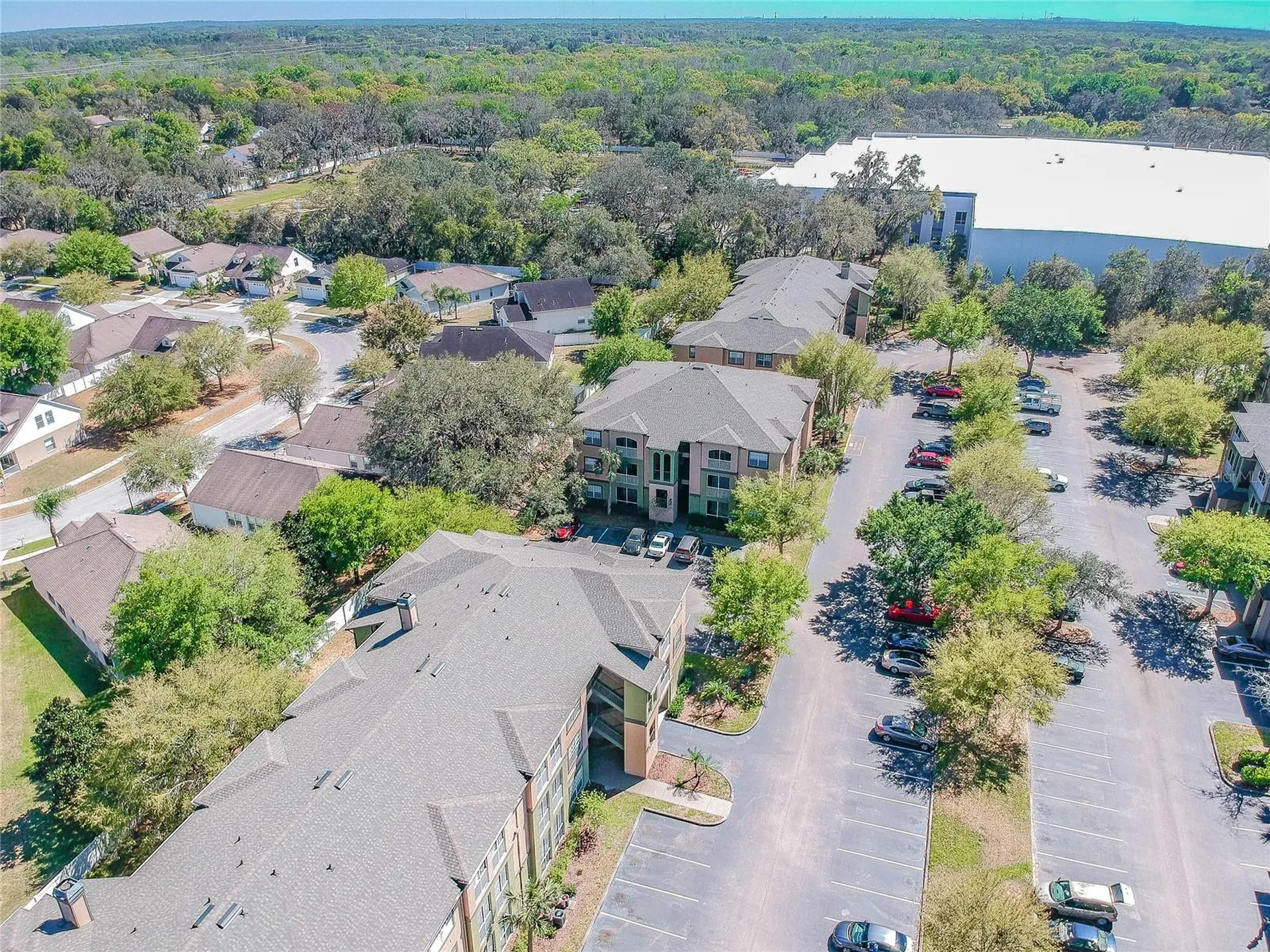 13015 Sanctuary Cove Drive Temple Terrace FL 33637