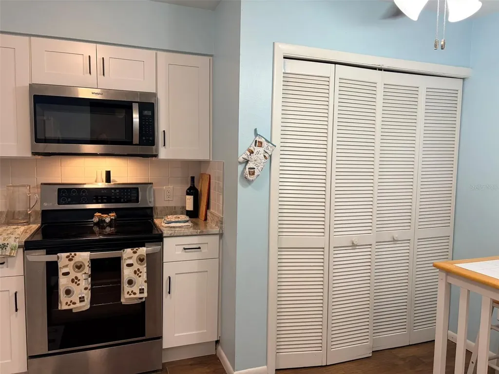 16302 Rambling Vine Drive W Tampa FL 33624