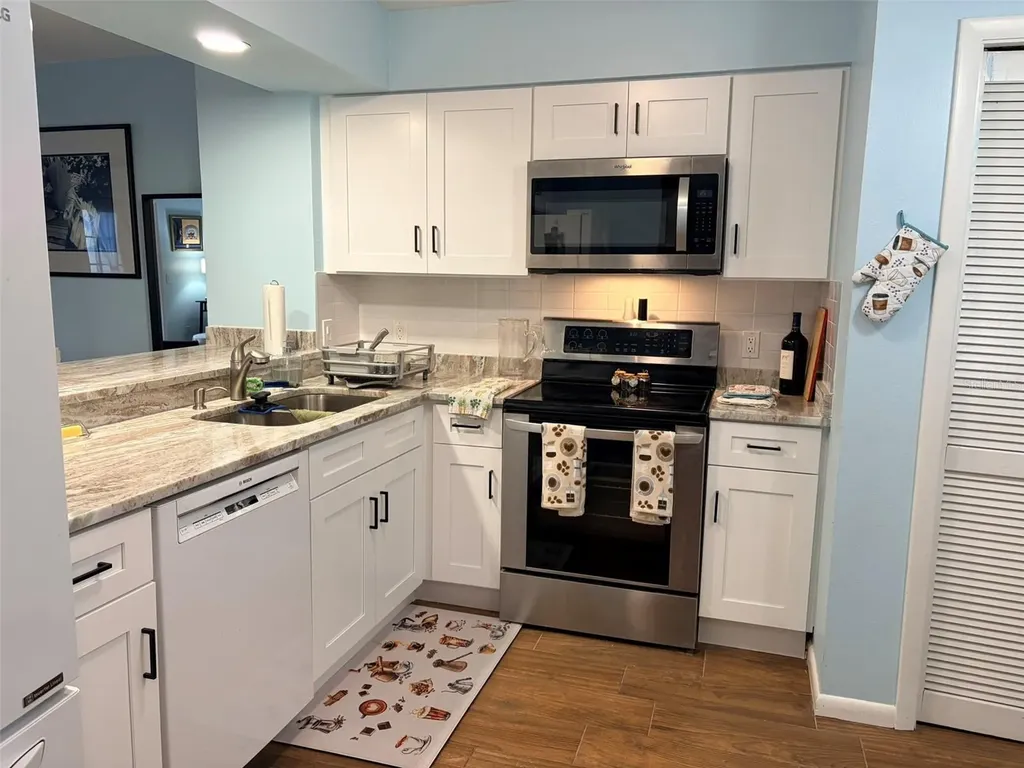 16302 Rambling Vine Drive W Tampa FL 33624