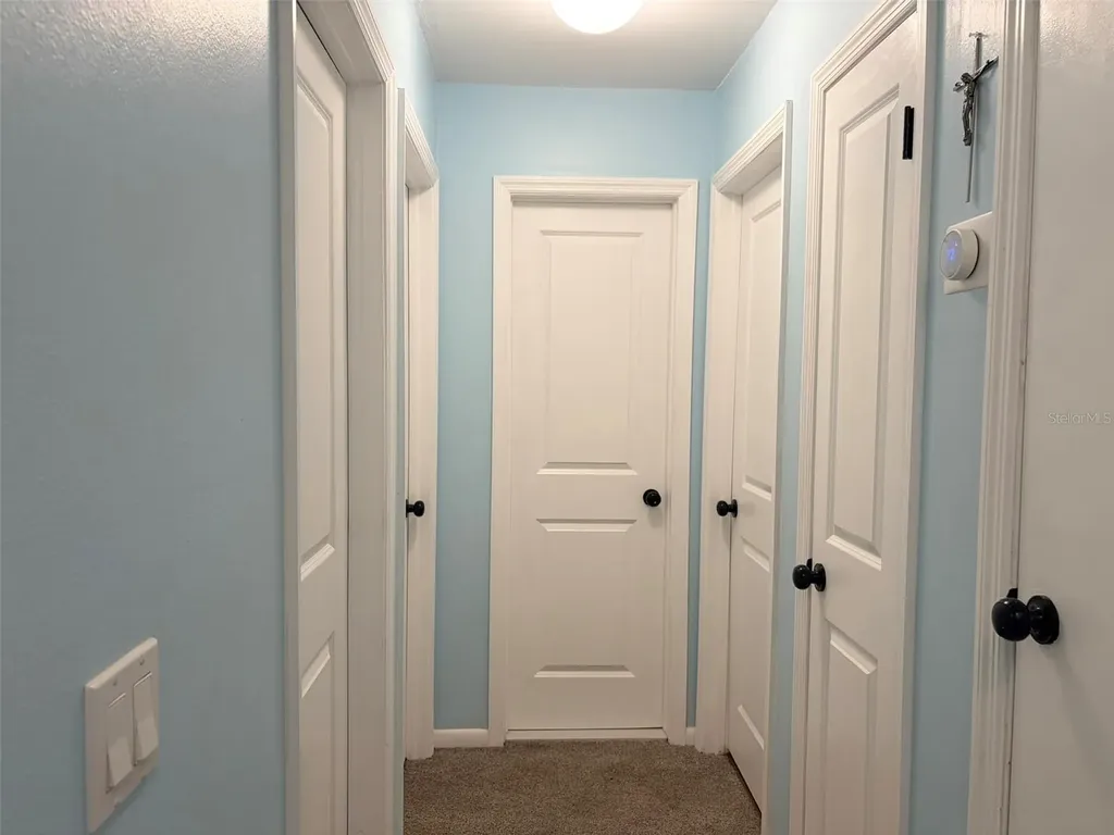 16302 Rambling Vine Drive W Tampa FL 33624