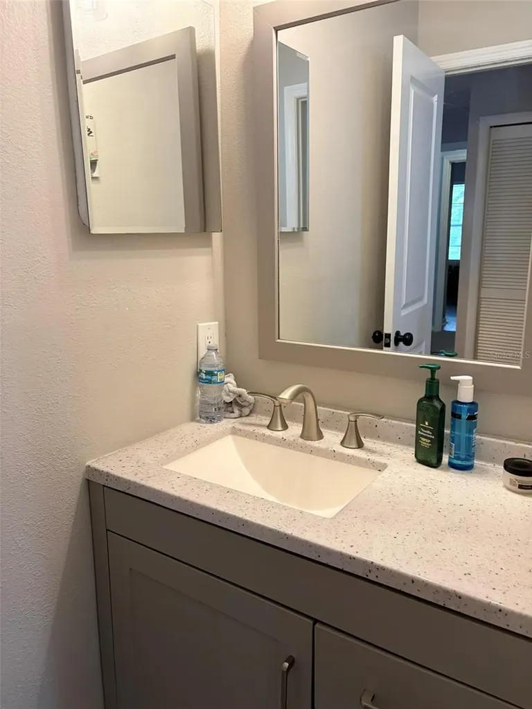 16302 Rambling Vine Drive W Tampa FL 33624