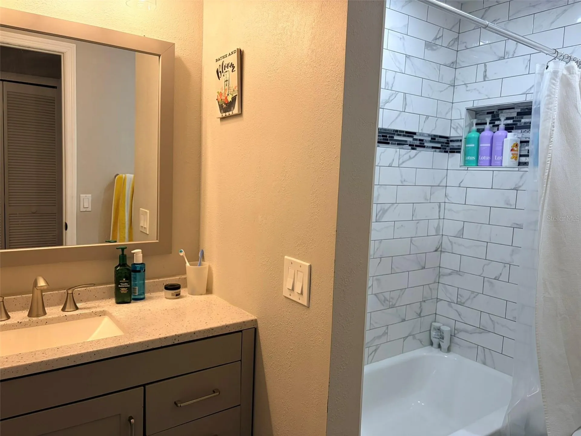 16302 Rambling Vine Drive W Tampa FL 33624