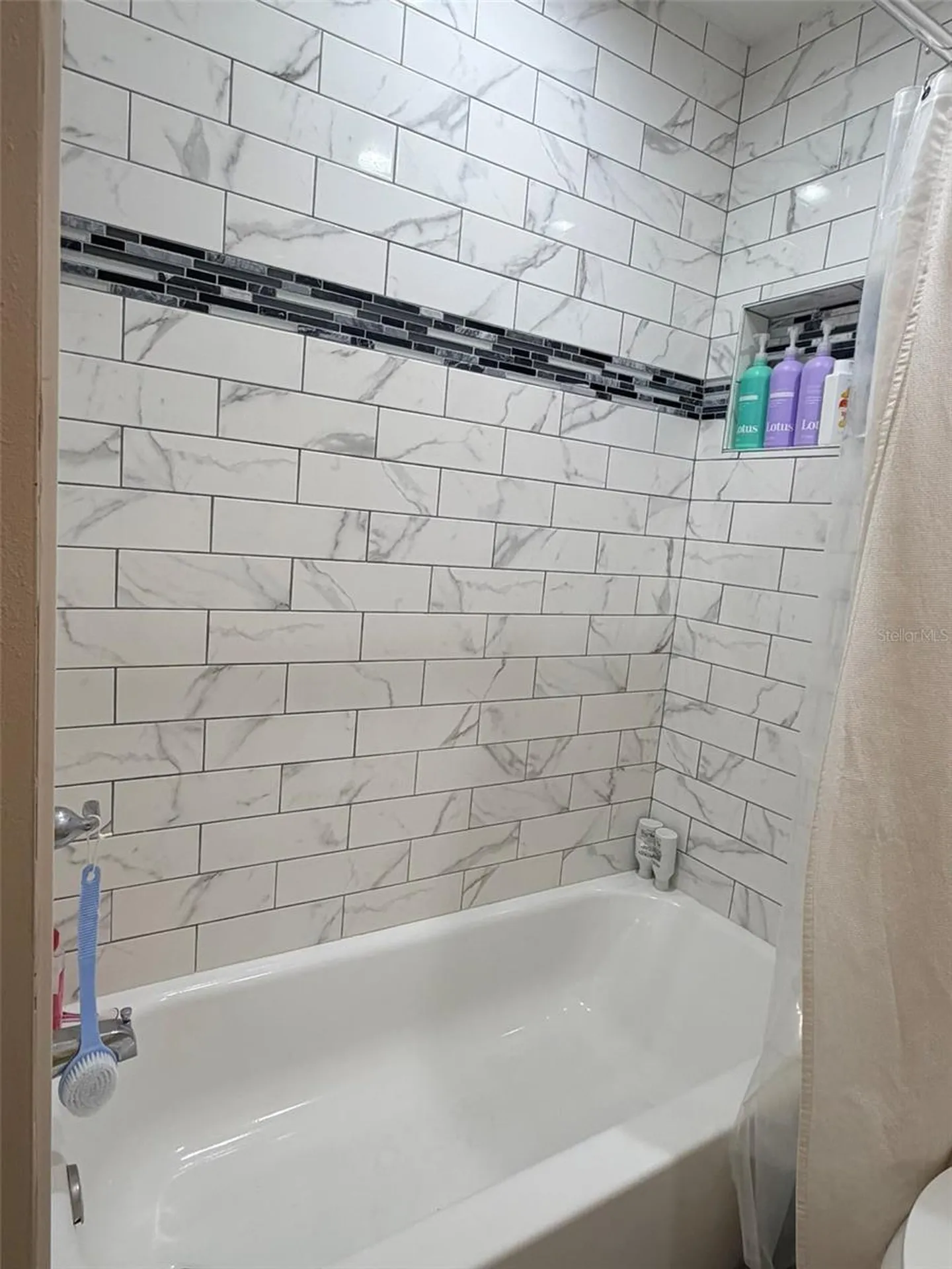 16302 Rambling Vine Drive W Tampa FL 33624