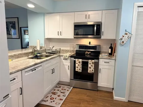 16302 Rambling Vine Drive W Tampa FL 33624