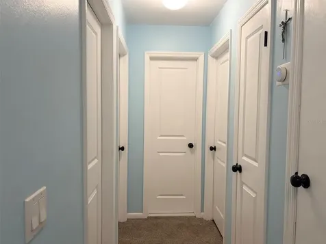 16302 Rambling Vine Drive W Tampa FL 33624