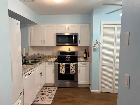 16302 Rambling Vine Drive W Tampa FL 33624