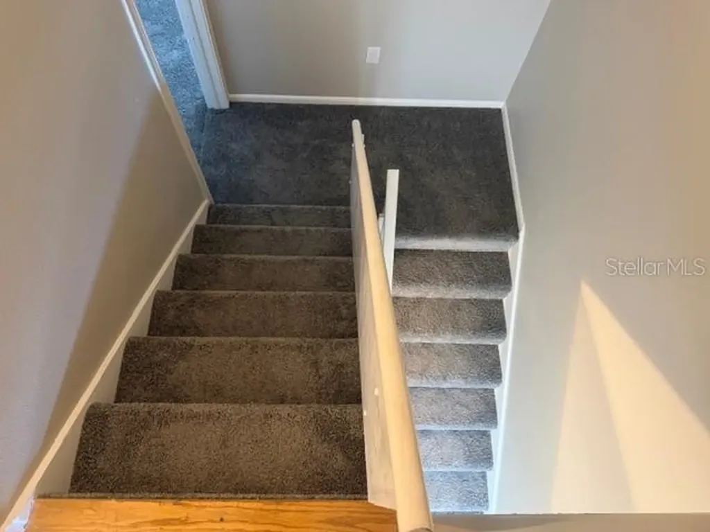 4220 La Dega Court Tampa FL 33611