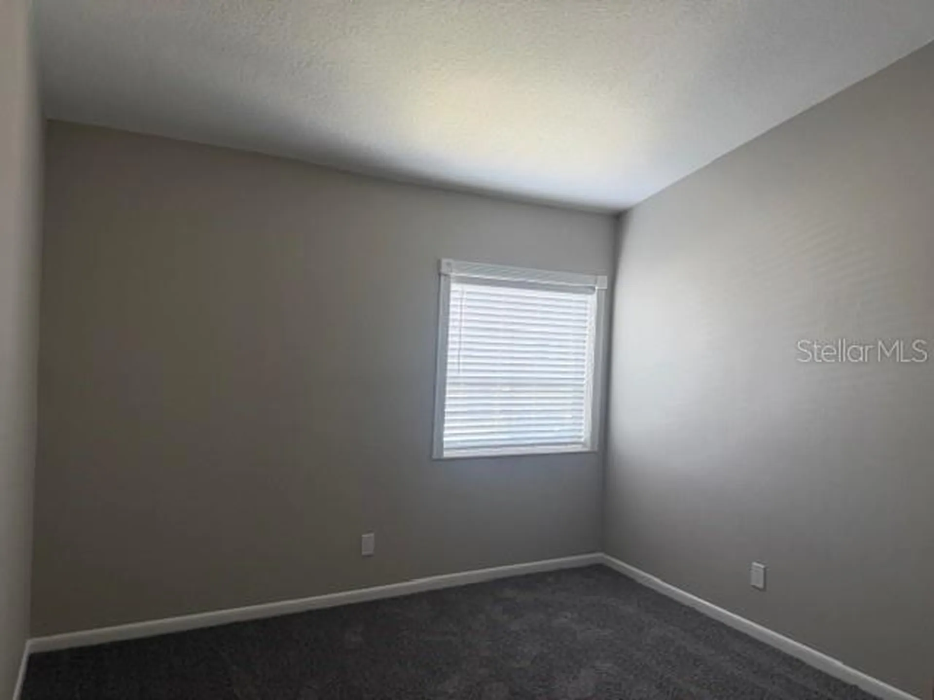 4220 La Dega Court Tampa FL 33611