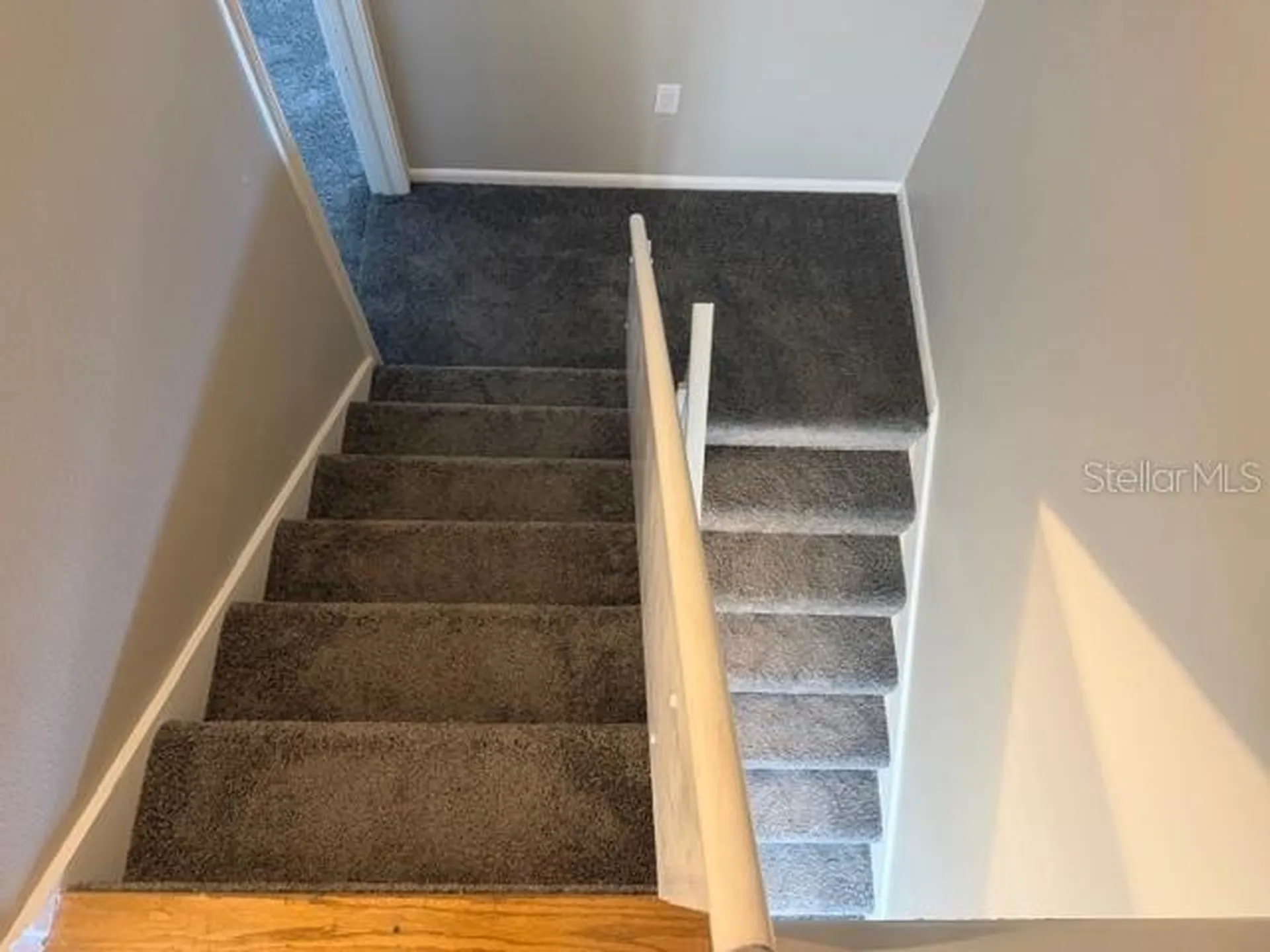 4220 La Dega Court Tampa FL 33611