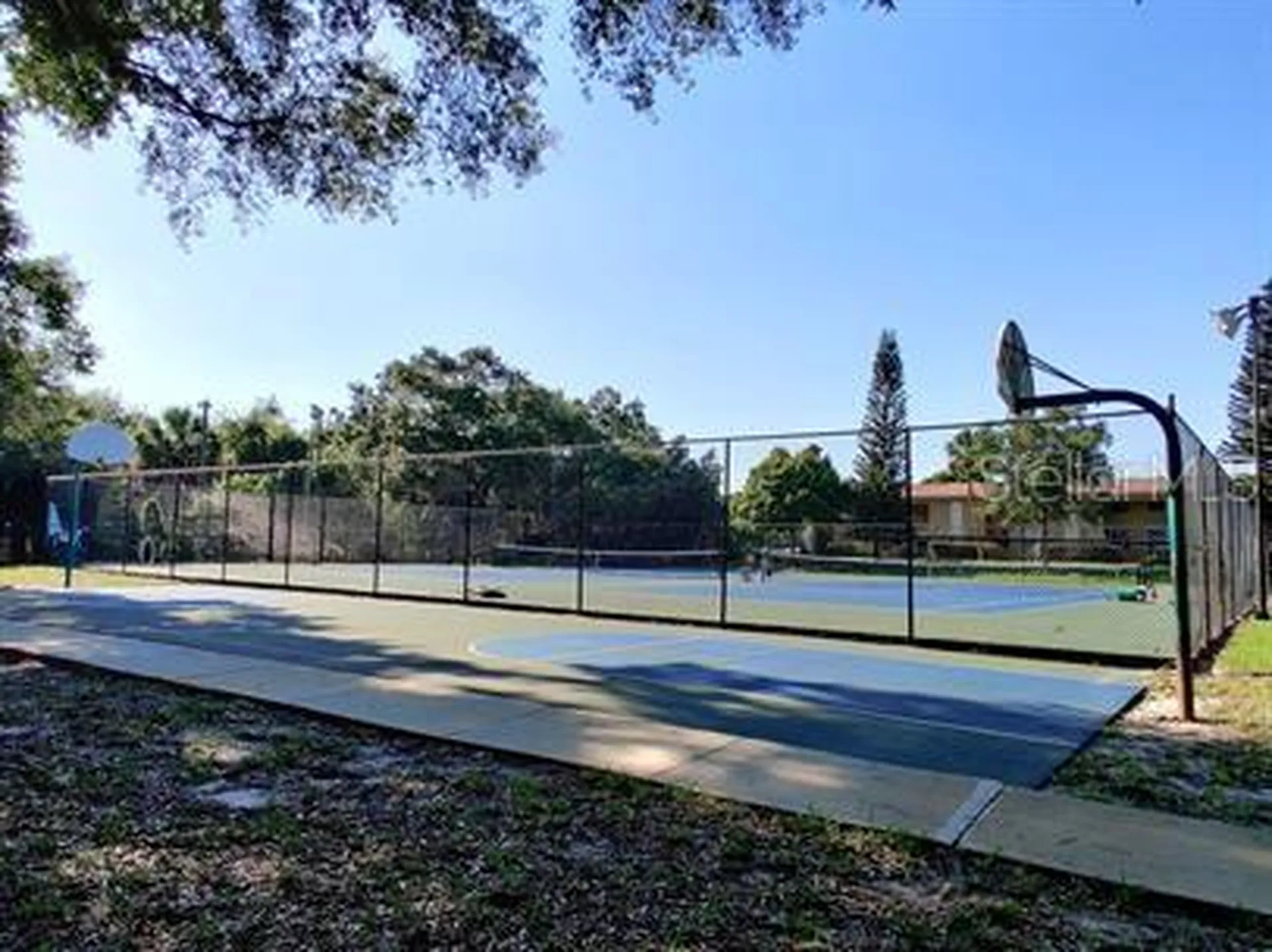 4220 La Dega Court Tampa FL 33611