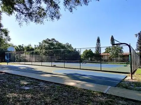 4220 La Dega Court Tampa FL 33611