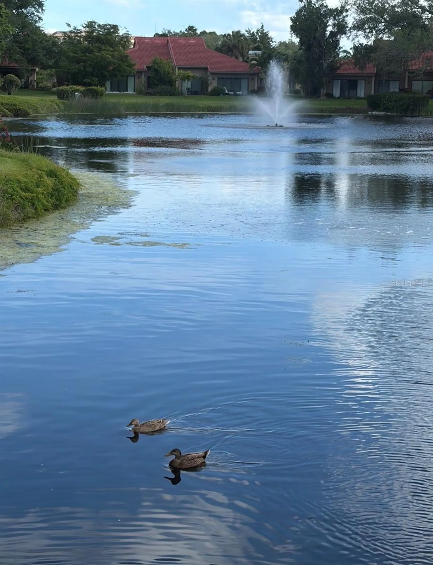 1732 Kestral Park Way S Sarasota FL 34231