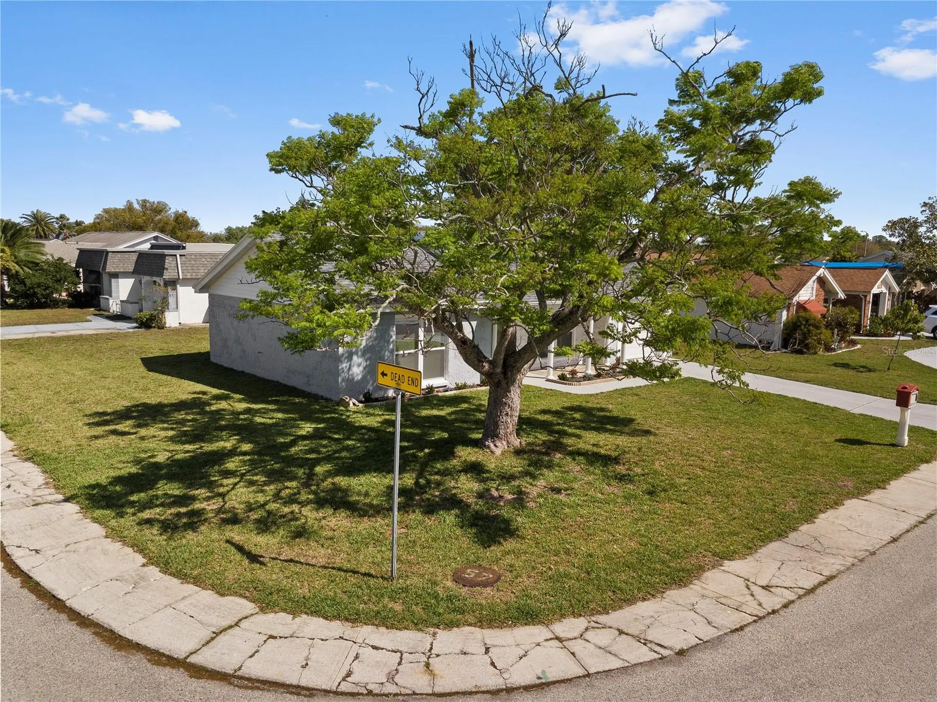 3317 Honeymoon Lane Holiday FL 34691