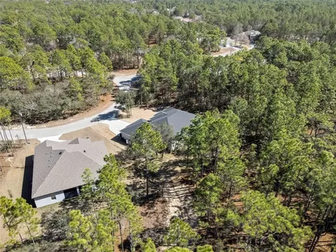 10 Milbark Court Homosassa FL 34446