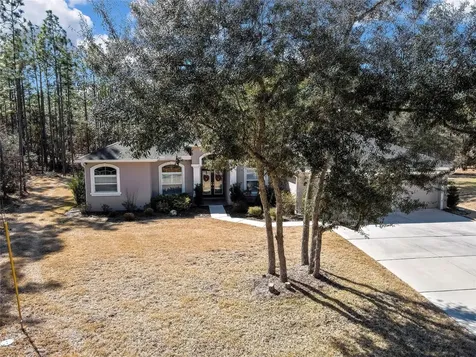 10 Milbark Court Homosassa FL 34446