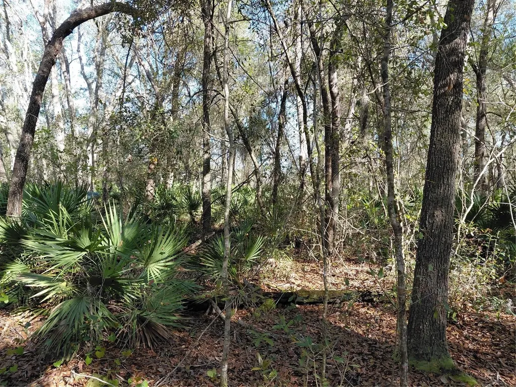 36031 Butternut Drive Webster FL 33597