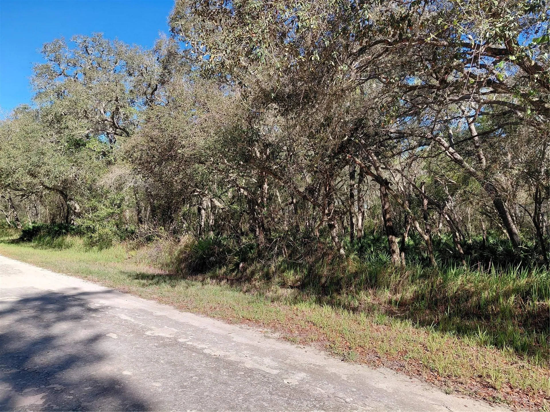 36031 Butternut Drive Webster FL 33597