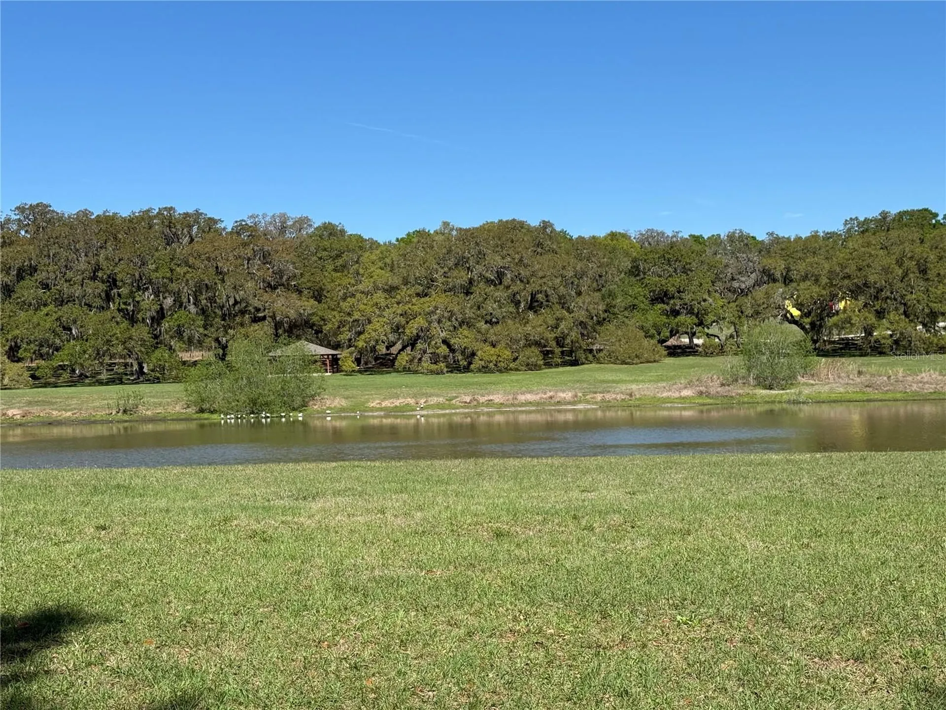 10426 SW 133rd Avenue Dunnellon FL 34432