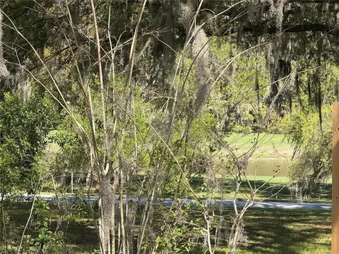 10426 SW 133rd Avenue Dunnellon FL 34432