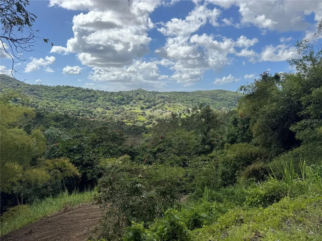 Carr 857 Km 6.3 Carolina PR 00987