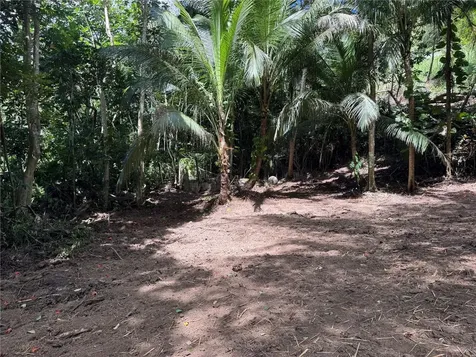 Carr 857 Km 6.3 Carolina PR 00987