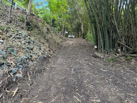Carr 857 Km 6.3 Carolina PR 00987
