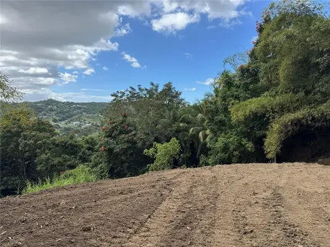 Carr 857 Km 6.3 Carolina PR 00987