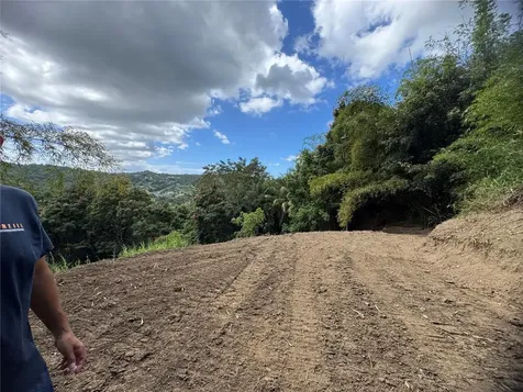 Carr 857 Km 6.3 Carolina PR 00987