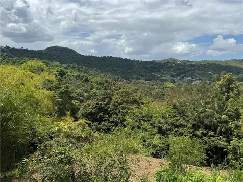 Carr 857 Km 6.3 Carolina PR 00987