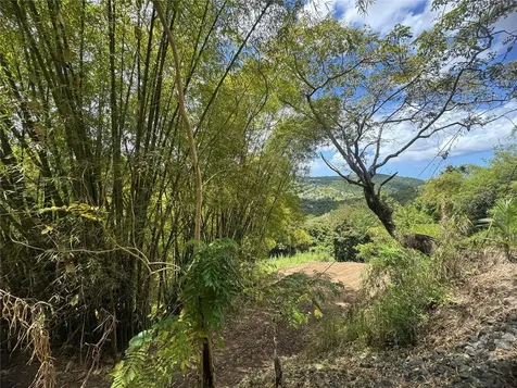 Carr 857 Km 6.3 Carolina PR 00987