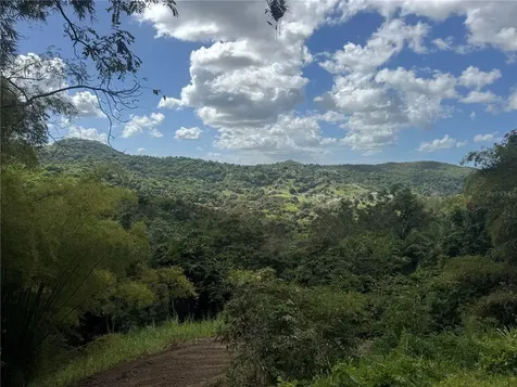 Carr 857 Km 6.3 Carolina PR 00987